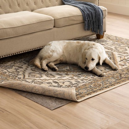 Dog Lying on rug | Mayfair Flooring